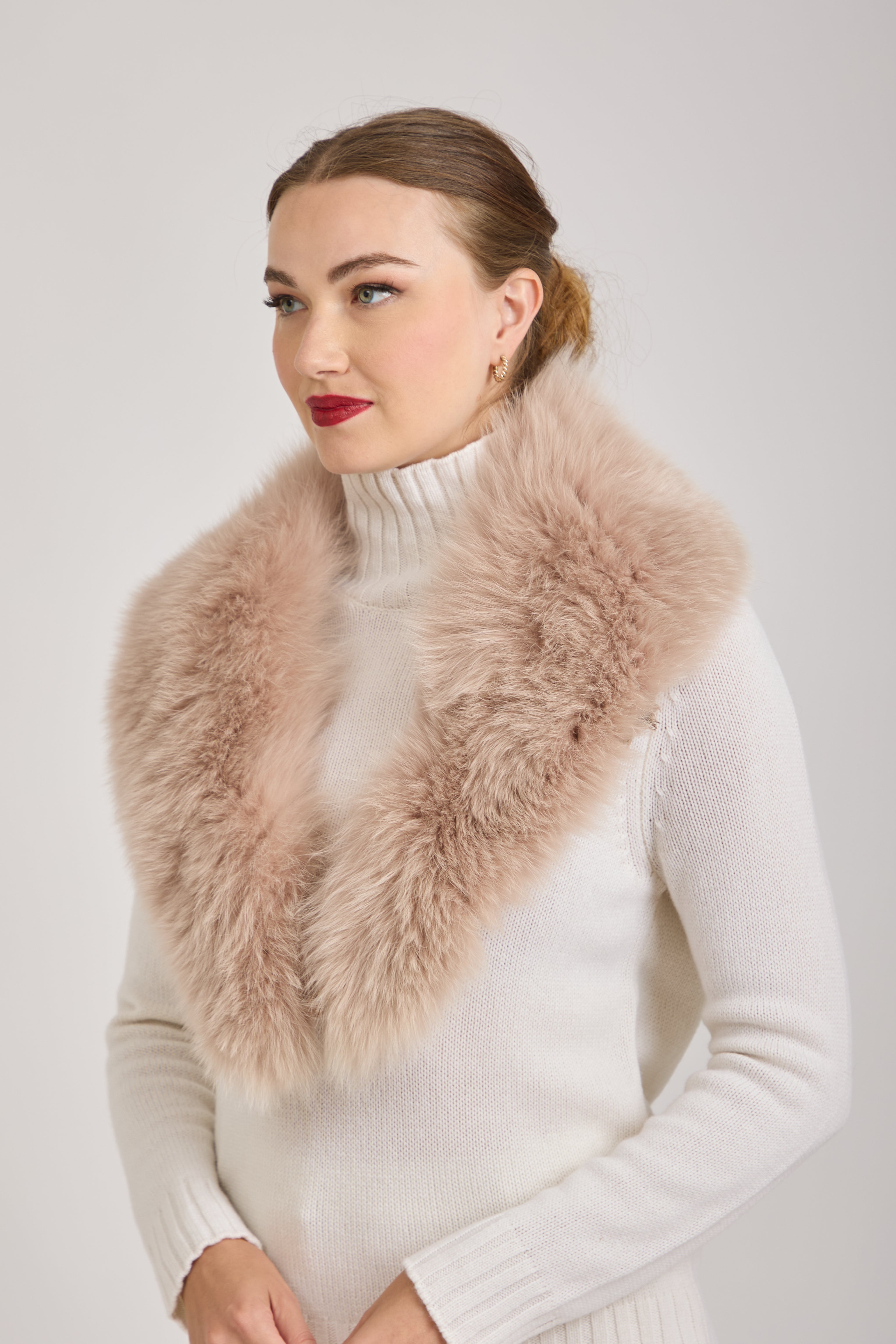 FOX COLLAR-ART